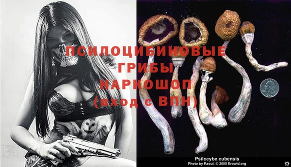 бошки Абдулино