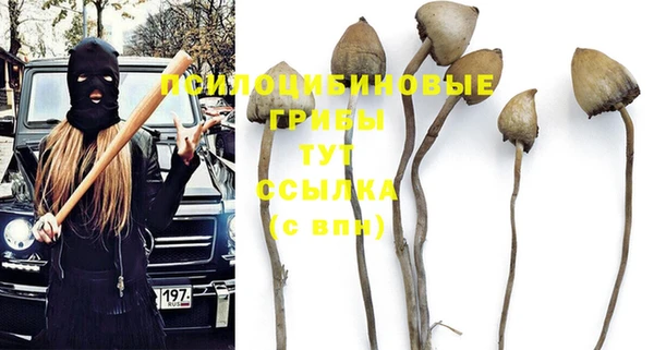 PSILOCYBIN Алексеевка