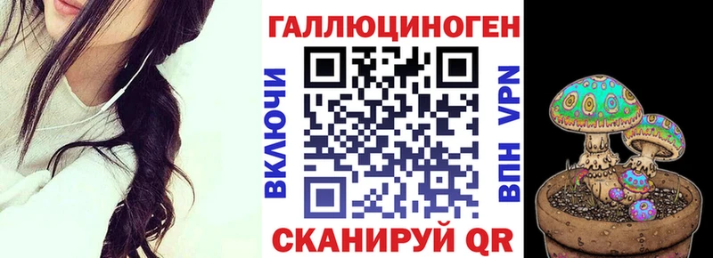 Галлюциногенные грибы Psilocybine cubensis  Черемхово 