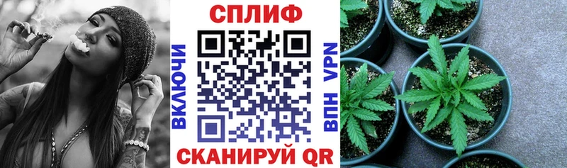 купить   Черемхово  Шишки марихуана Bruce Banner 